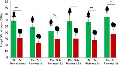 Characterization of Unexplored Deadwood Mycobiome in Highly Diverse Subtropical Forests Using Culture-independent Molecular Technique